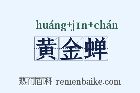 黄金蝉是什么意思的图片